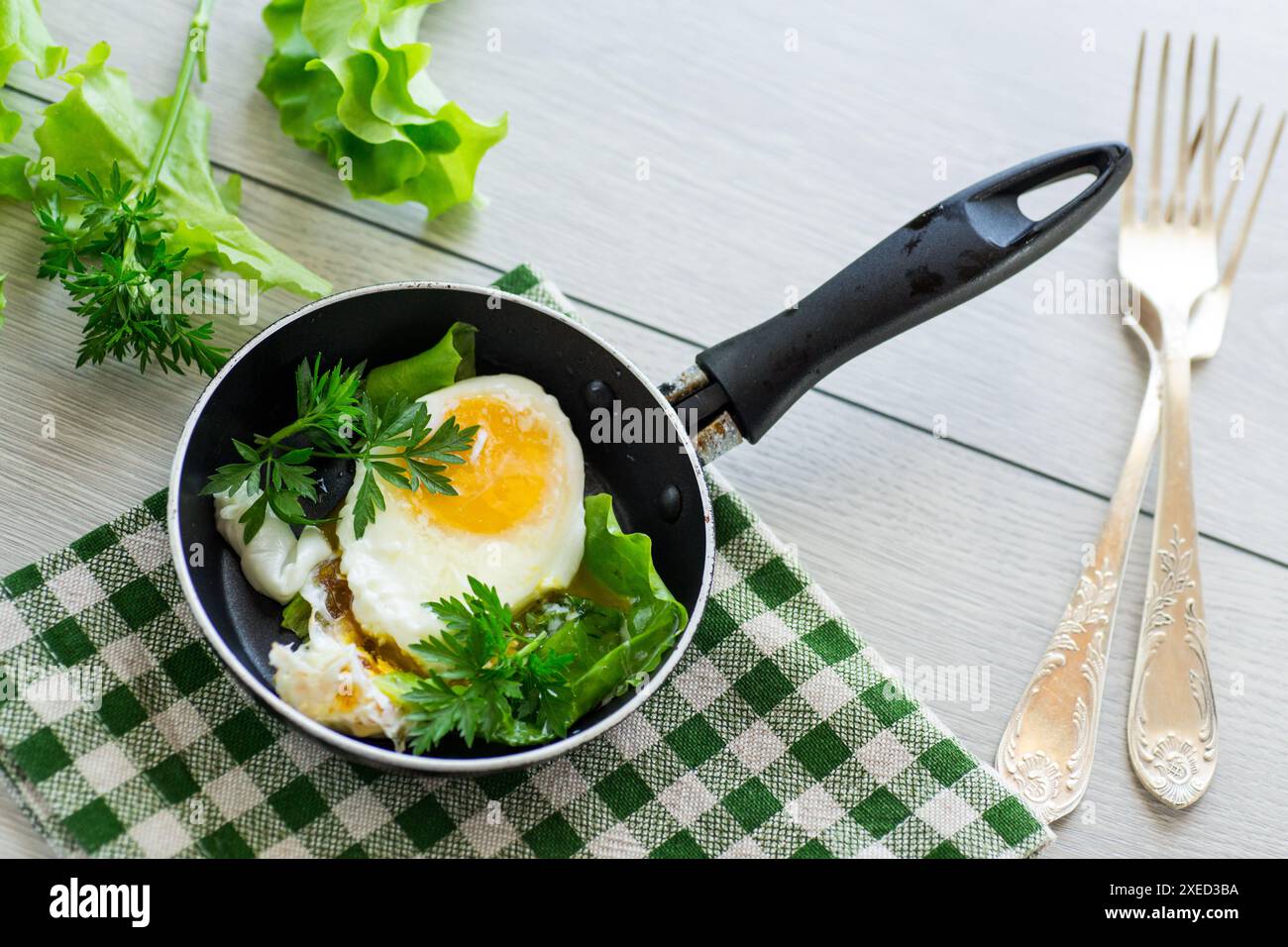 fried egg in a frying pan with herbs . Stock Photo