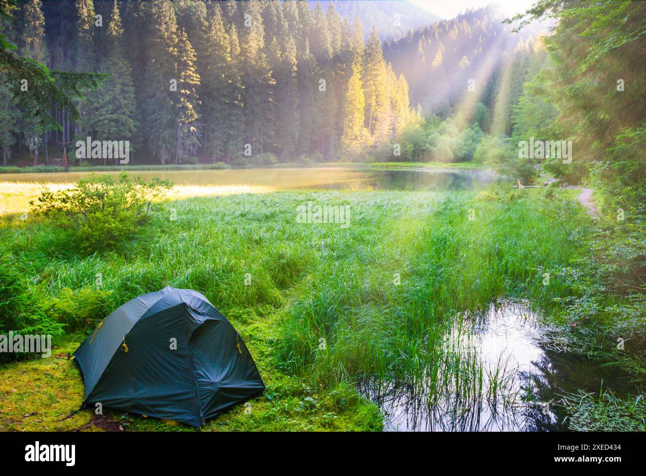 Beautiful mountain view green tent hi-res stock photography and images ...