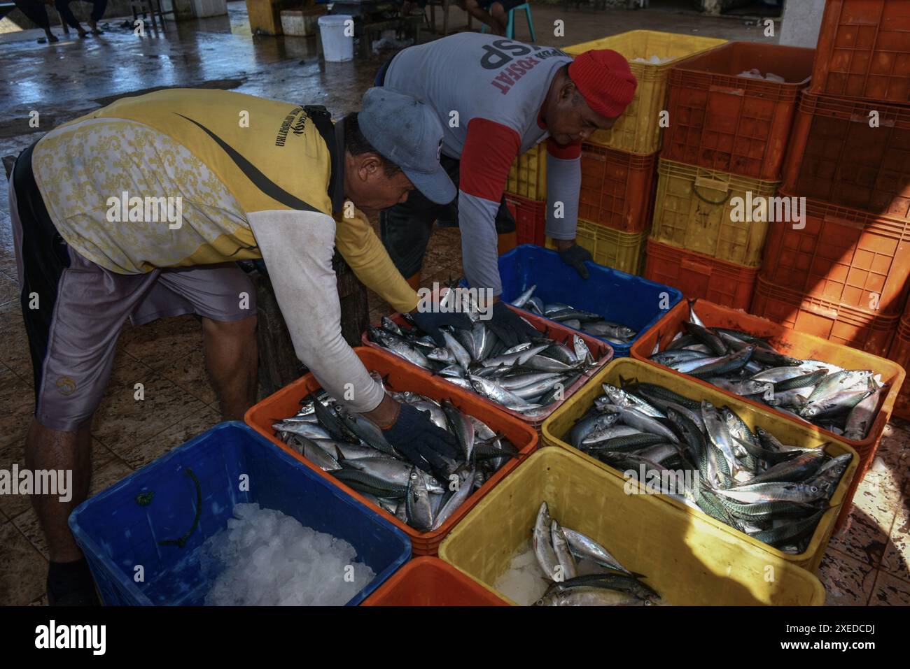 Banyuwangi, East Java, Indonesia. 27th June, 2024. Workers pack