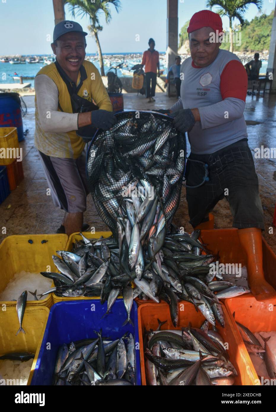 Banyuwangi, East Java, Indonesia. 27th June, 2024. Workers pack