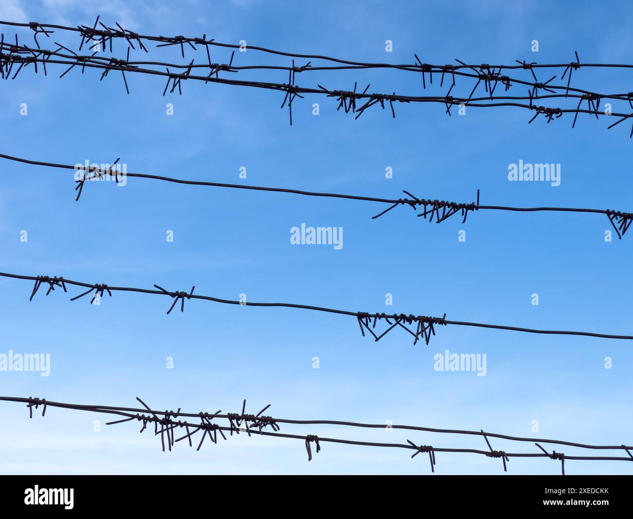 Barbed wire on fence with blue sky on background. Security concept Stock Photo