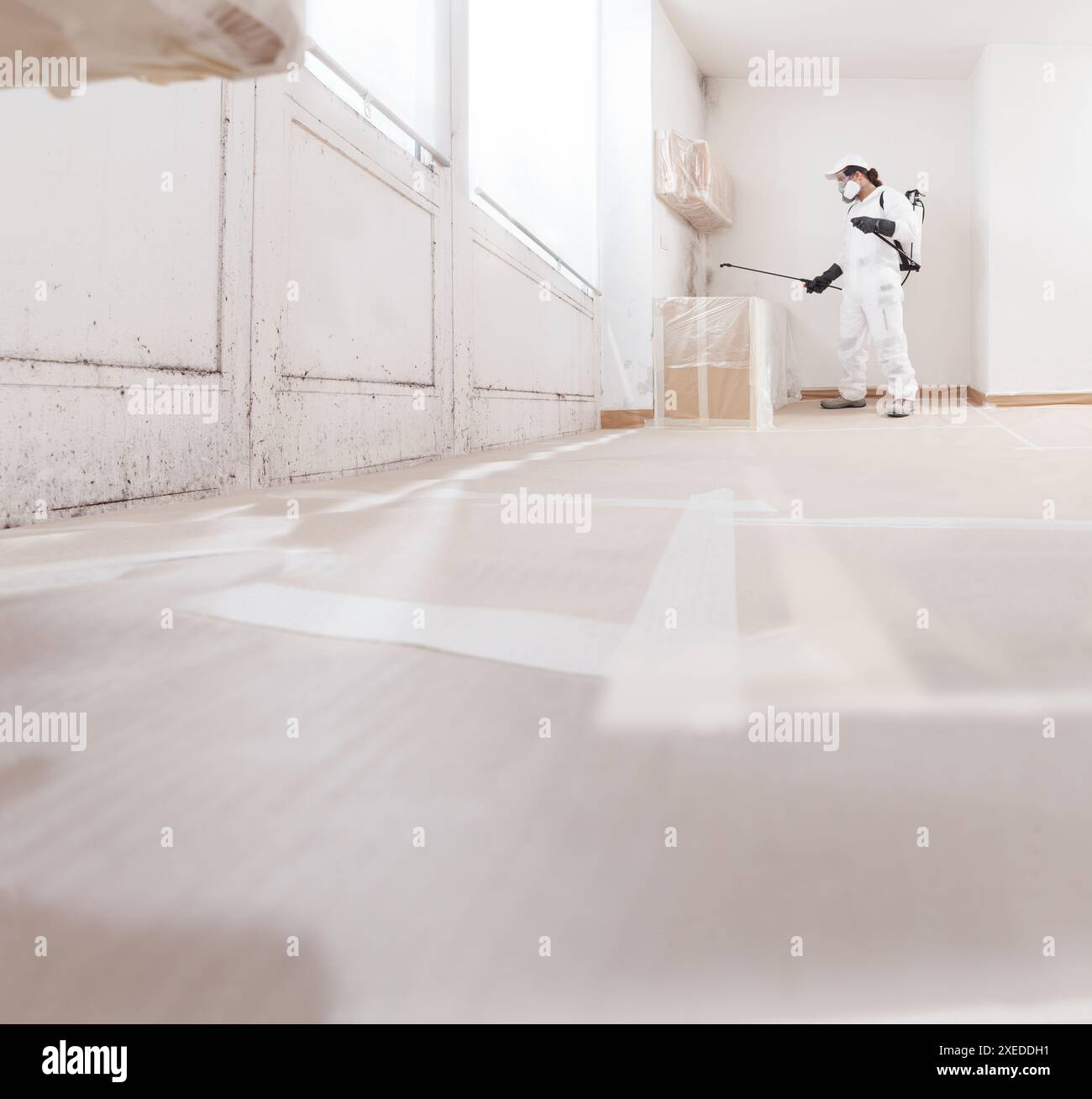 mold-remediation-service-a-professional-worker-spraying-products-to-remove-mold-before-house-painting-clad-in-a-protective-suit-and-respirator-mask-2XEDDH1.jpg
