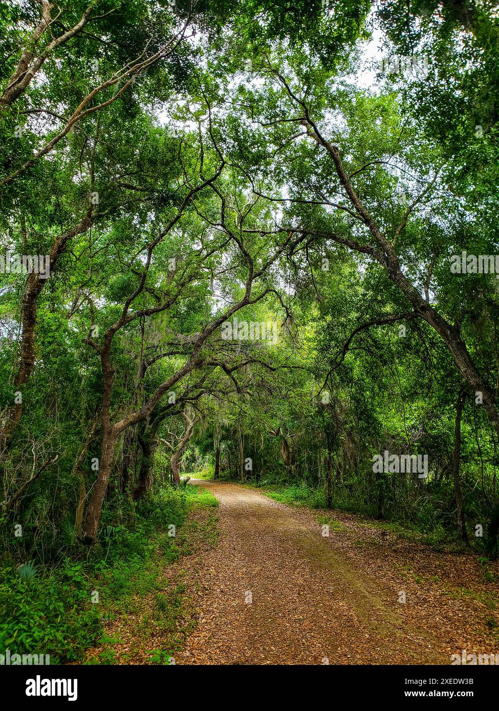 Loop Rd Fl Loop road florida hi-res stock photography and images - Alamy