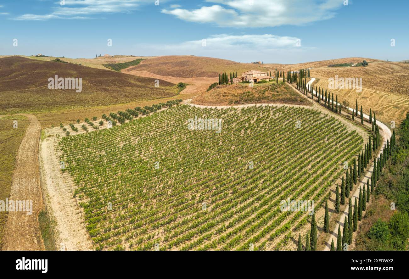 Olive trees italy aerial hi-res stock photography and images - Alamy
