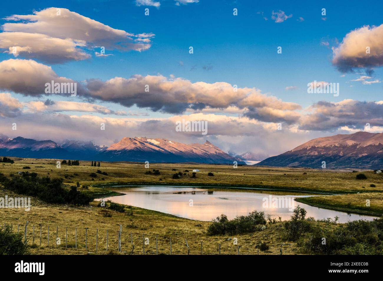 pampas near Lake Roca, El Calafate, Los Glaciares National Park ...