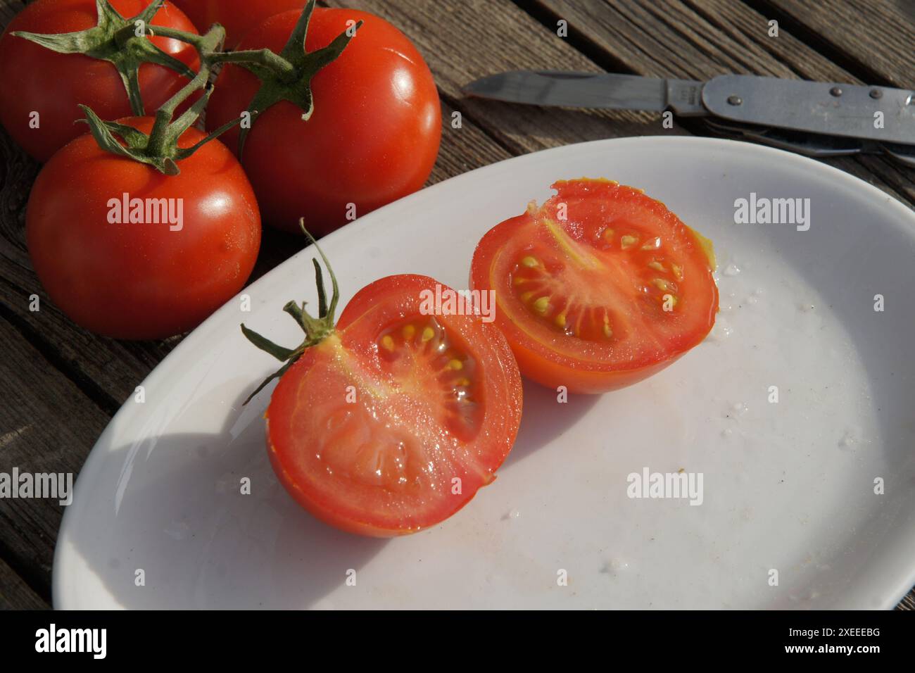 Solanum esculentum, tomato Stock Photo