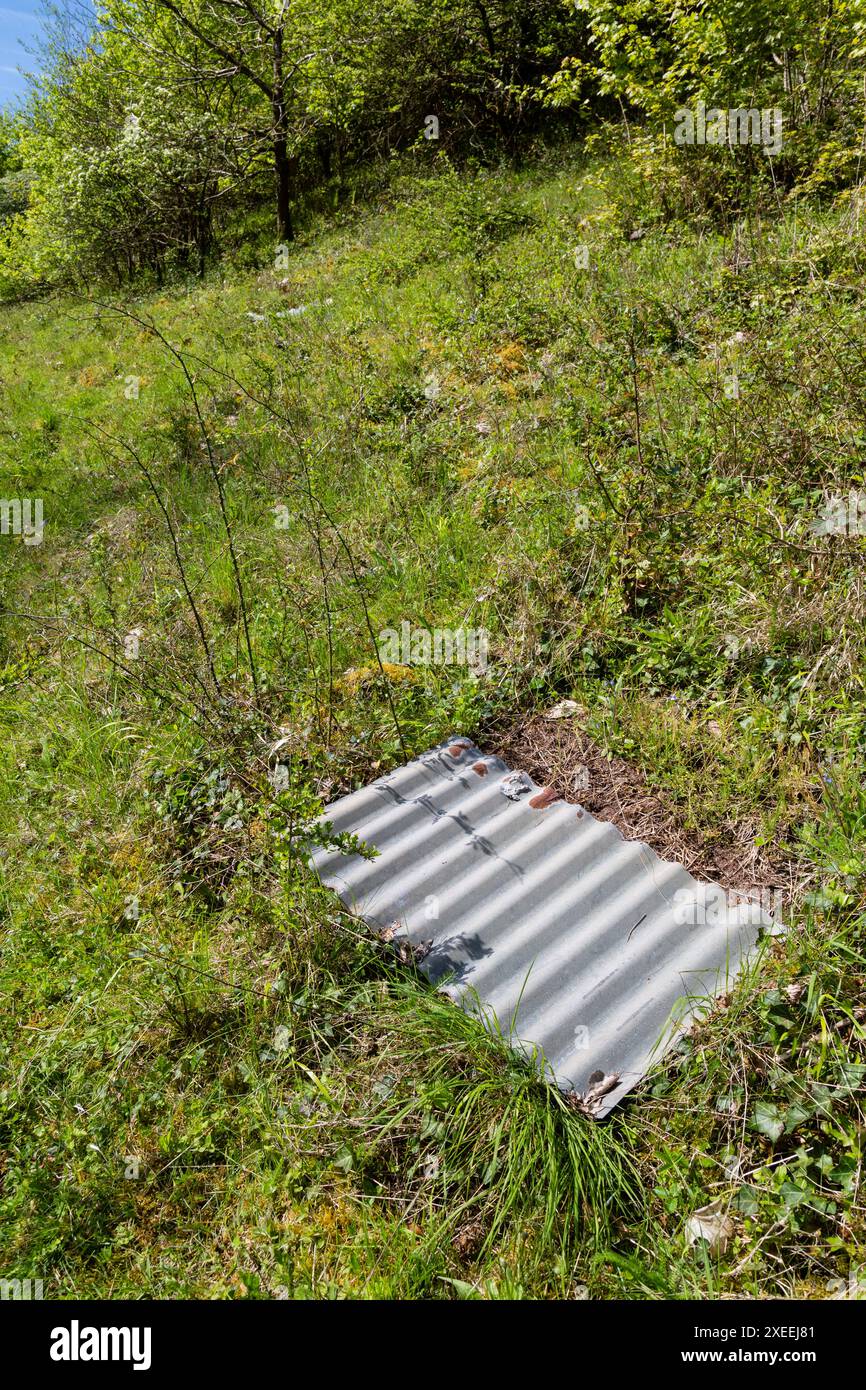 Reptile refuges hi-res stock photography and images - Alamy