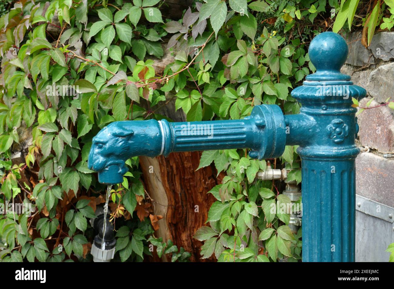 Foot Operated Water Pump - Portable 1/2 Inch Hose Pump For RV, Boat & Outdoor Use