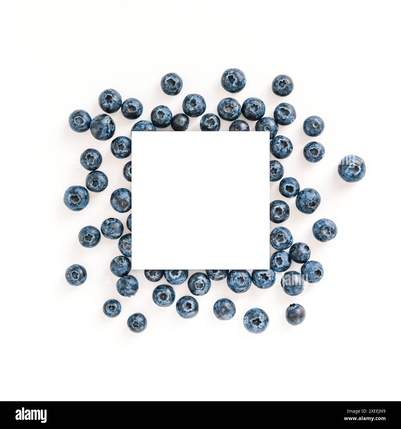 Blueberry isolated on white with white circle Stock Photo
