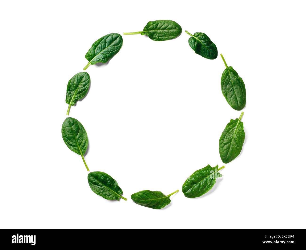 Pattern from baby spinach in round frame isolated Stock Photo - Alamy