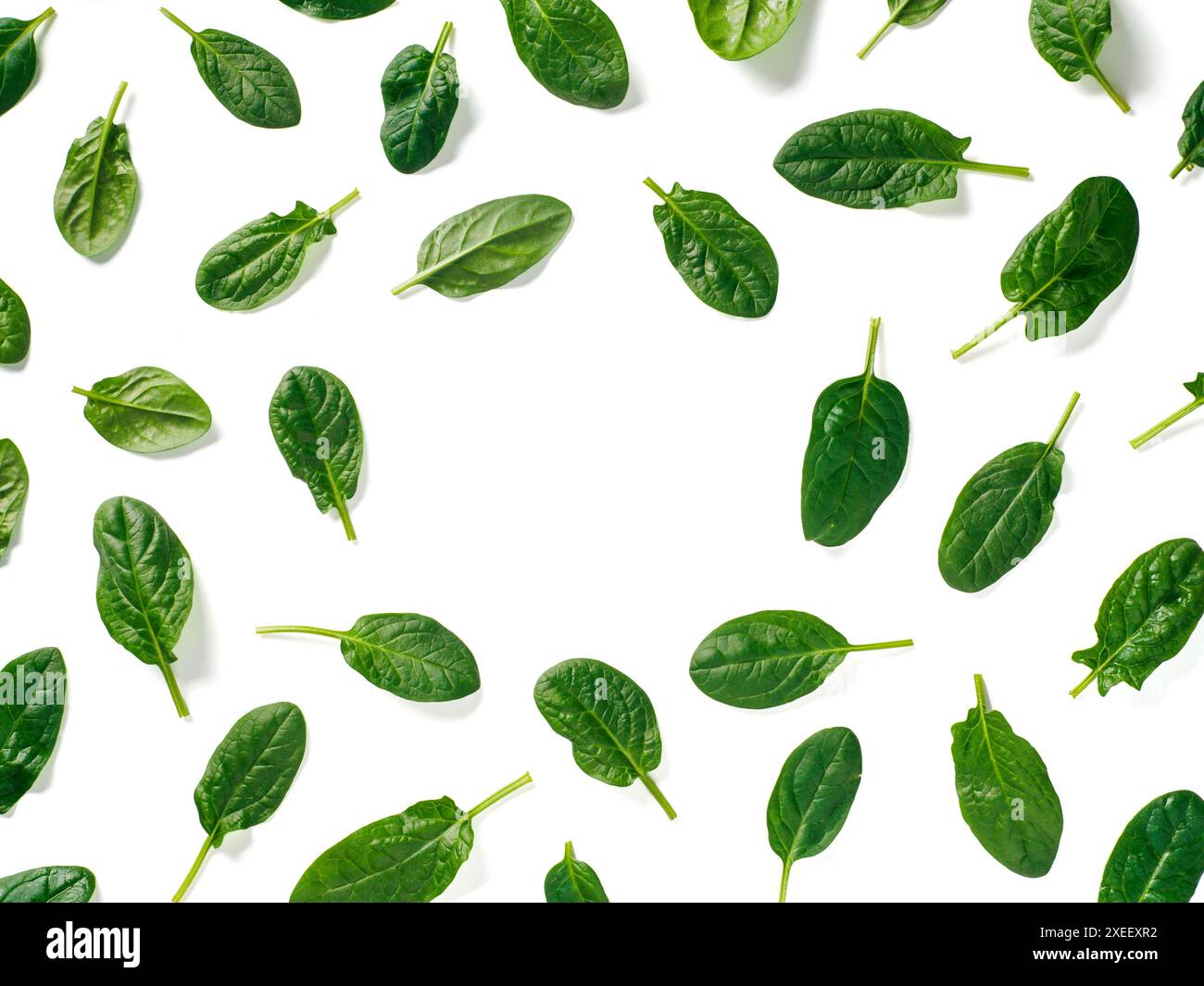 Pattern from baby spinach isolated Stock Photo - Alamy