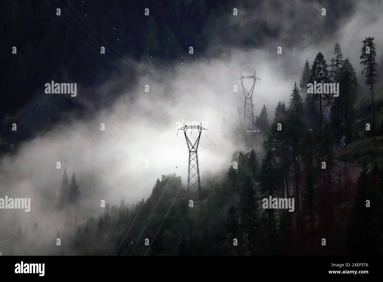 Electricity pylons in the mountain forest Stock Photo - Alamy