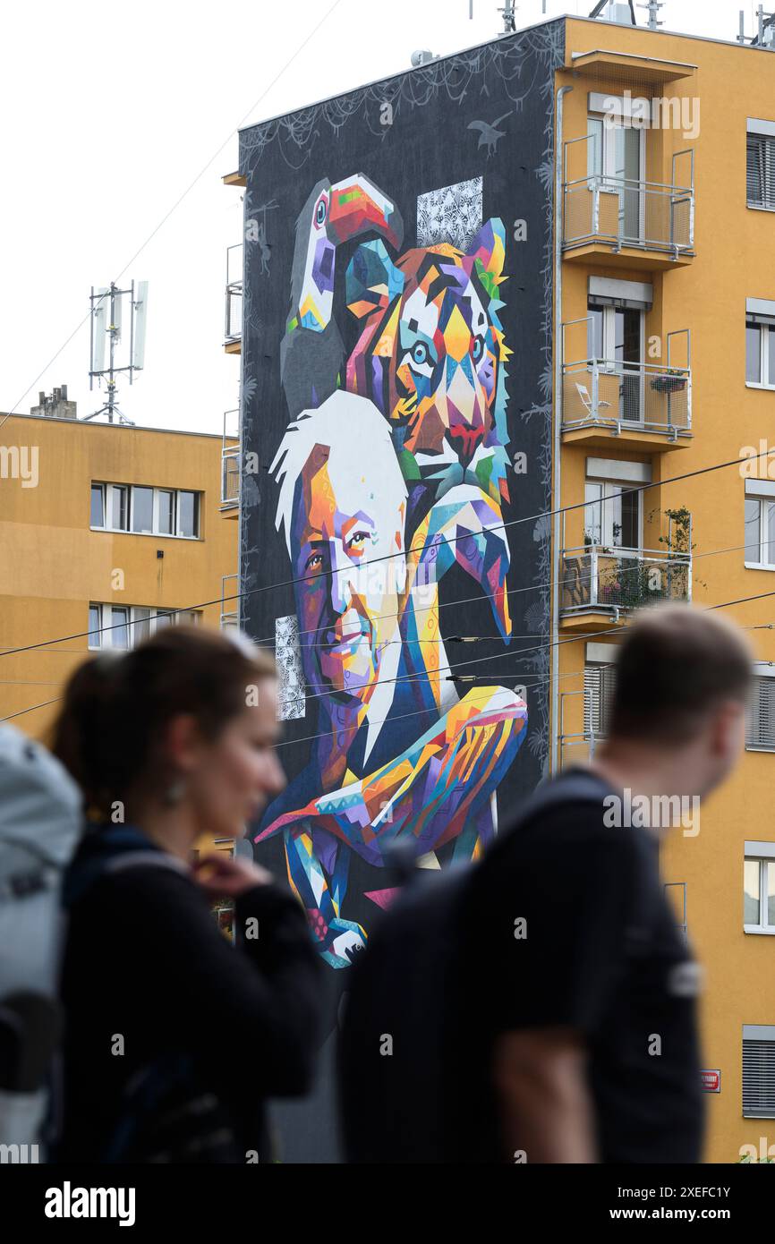 Praha, Czech Republic. 27th June, 2024. A mural by French artist Tim ...