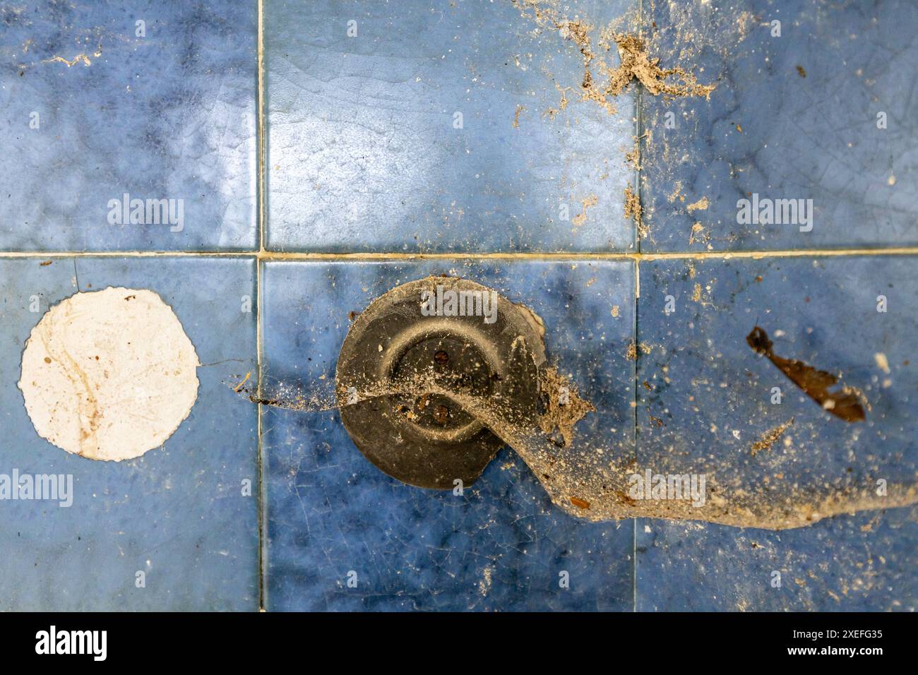 Old light switch with cobwebs Stock Photo