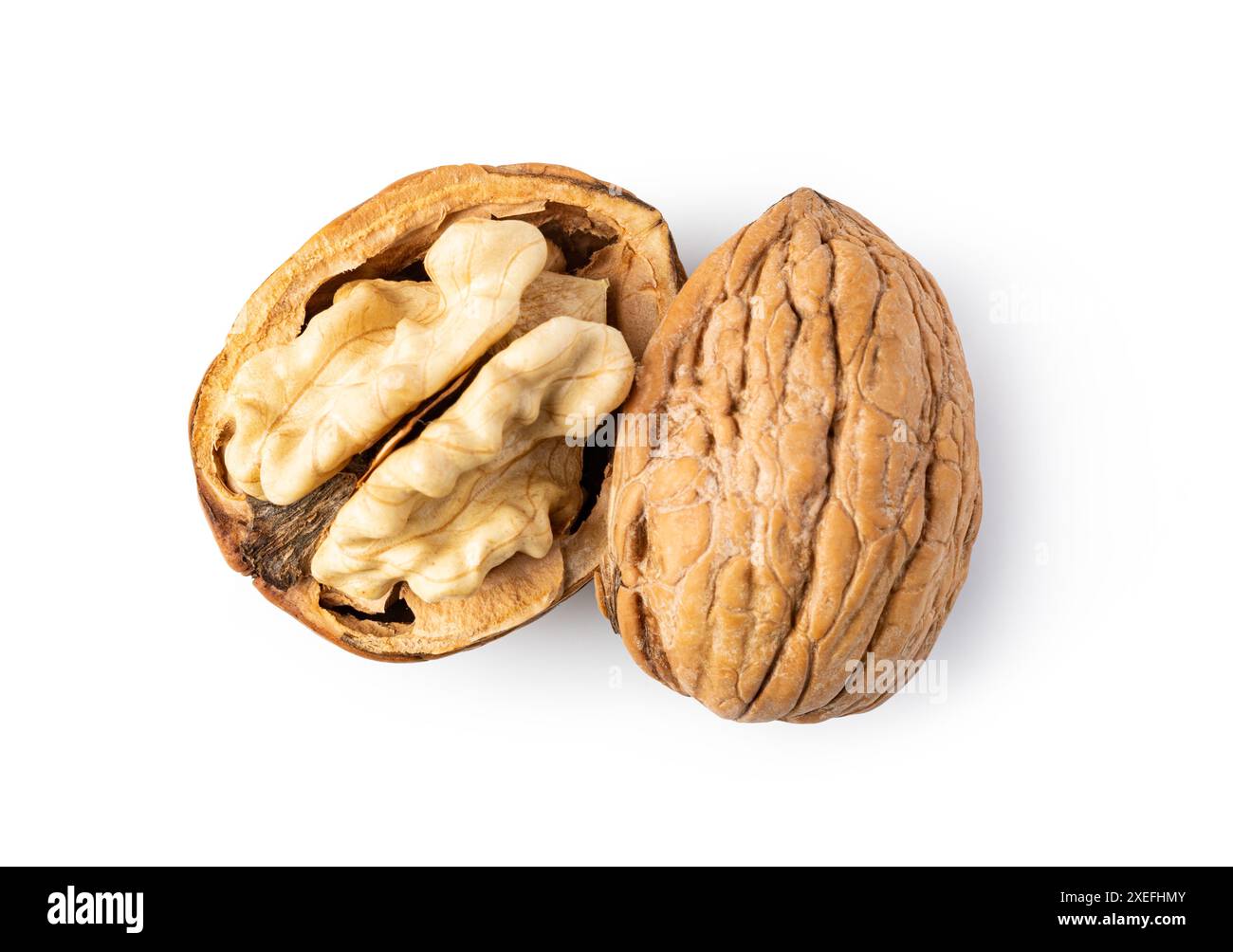 Walnut on white background Stock Photo