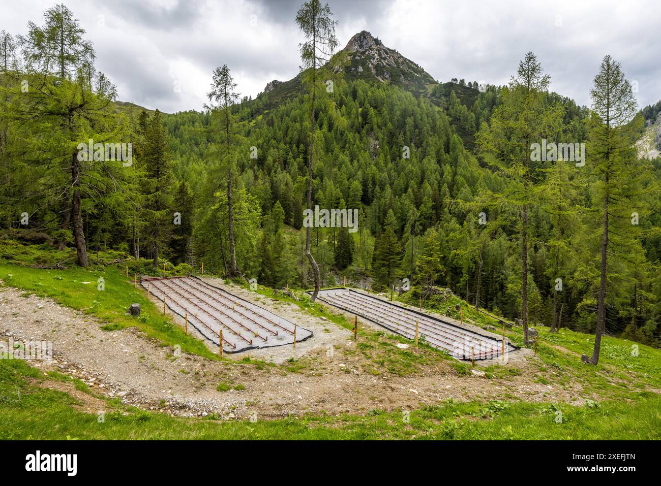 Constructed wetland below the Filzmoosalm, Großarl, Salzburg, Austria Stock Photo