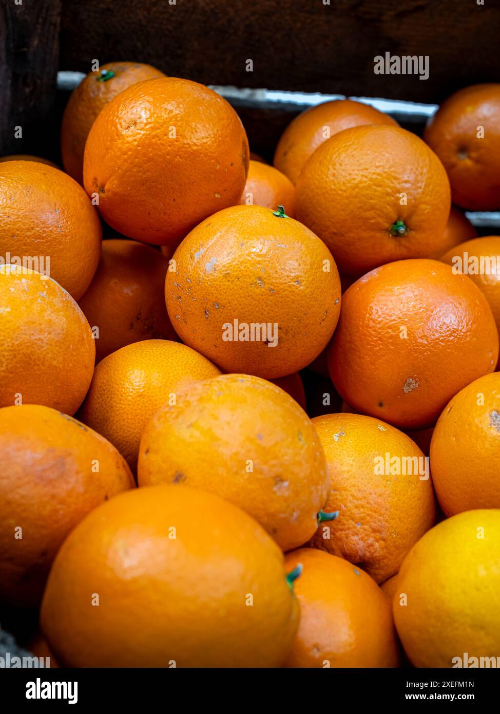 Imperfect organic oranges, emphasizing the natural quality, ideal for advertising sustainable, locally sourced produce, highlighting authenticity. Stock Photo