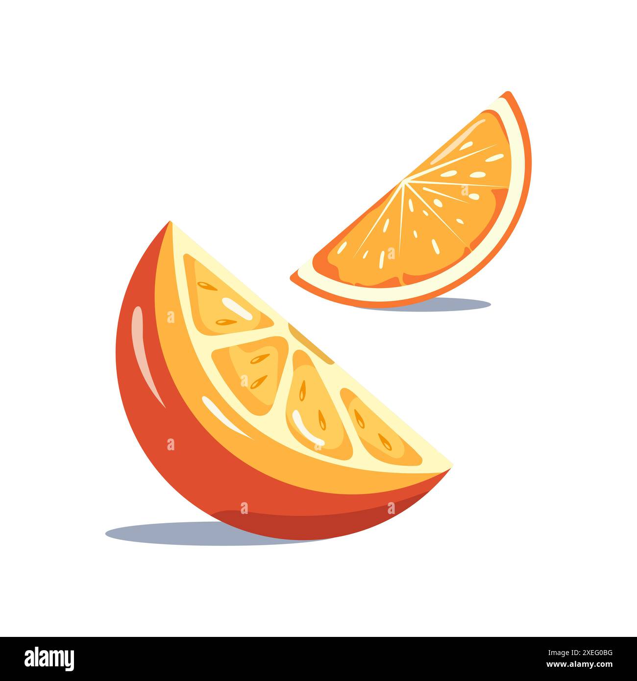 Orange slices isolated on white background. Vector illustration of ...