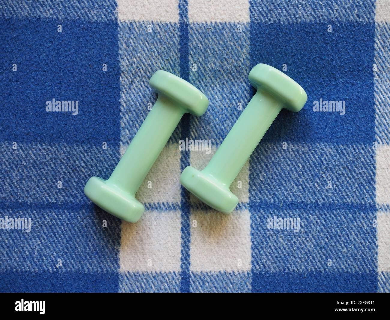 Dumbbells weights over tartan blanket Stock Photo