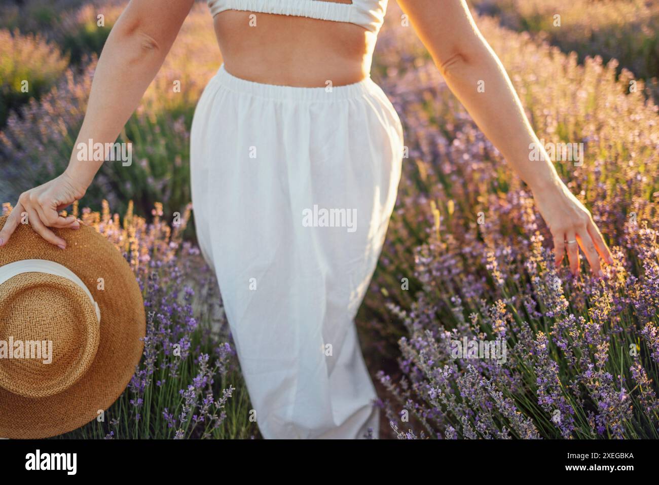 Caucasian young woman in a white dress walks among the lavender bushes ...