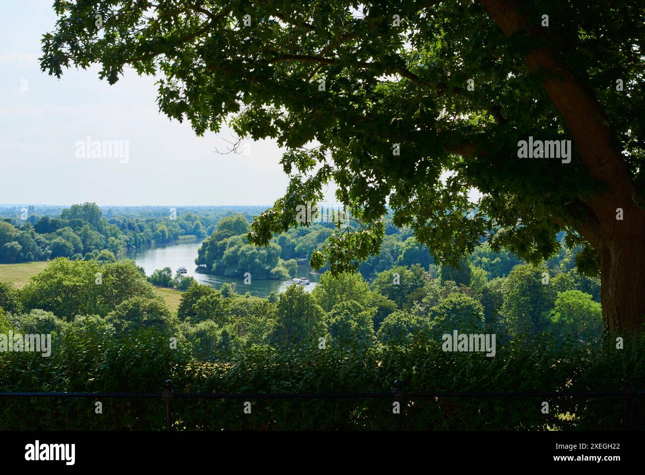 The River Thames from Richmond Hill, Greater London UK, in summertime Stock Photo