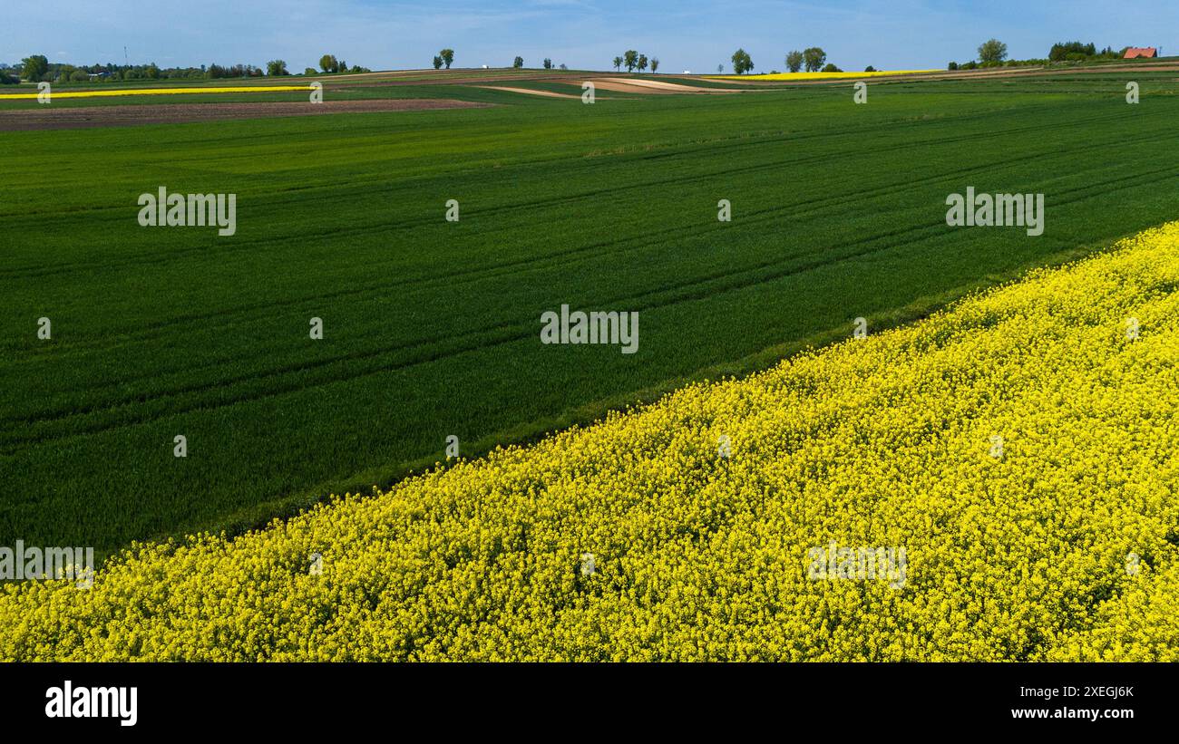 Aerial view of crop hi-res stock photography and images - Alamy