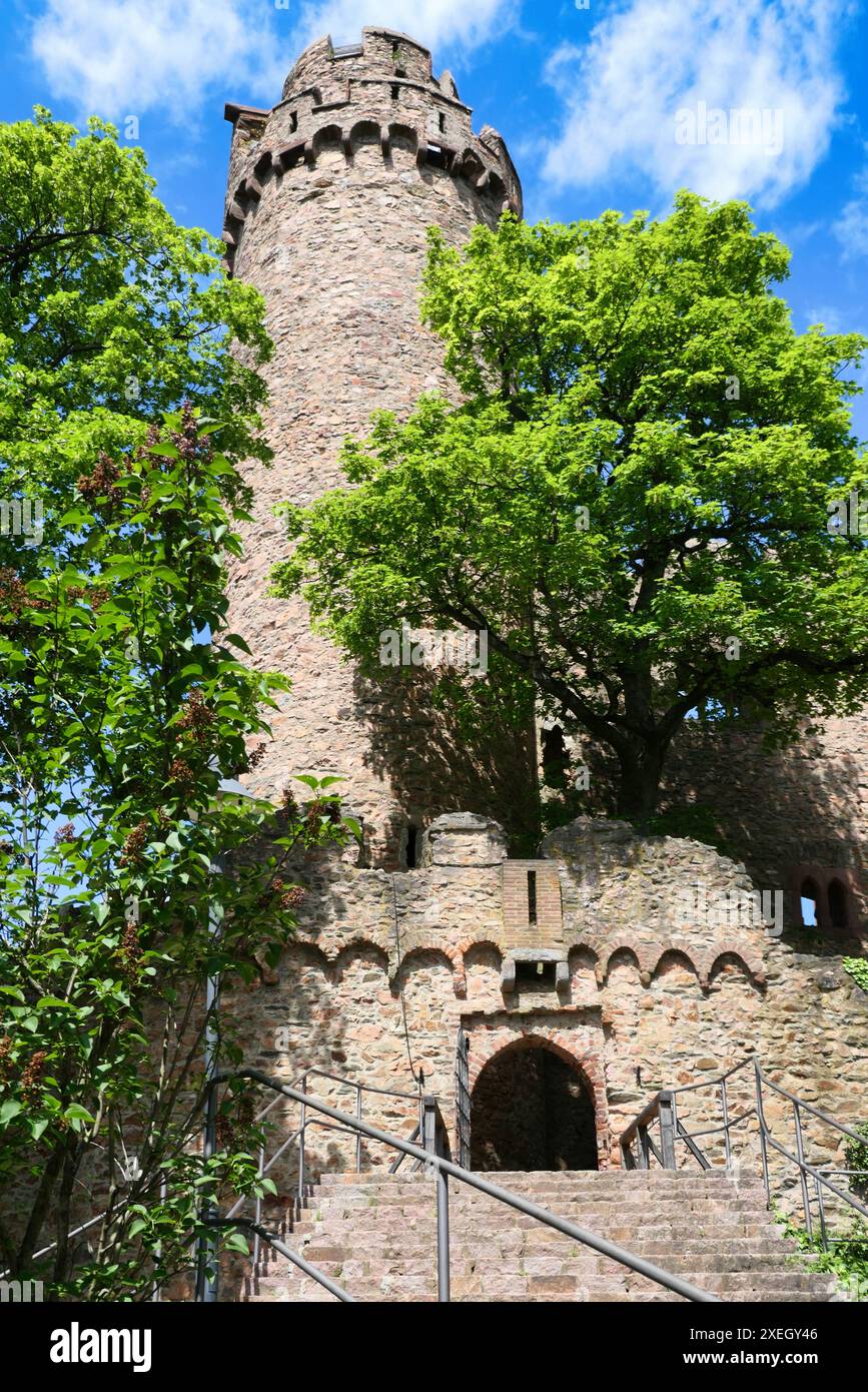 Auerbach Castle, Bensheim-Auerbach, Bergstrasse, Hesse Stock Photo