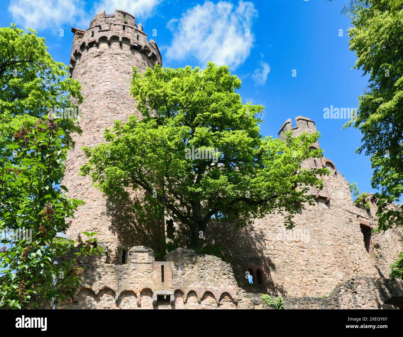 Auerbach Castle, Bensheim-Auerbach, Bergstrasse, Hesse Stock Photo