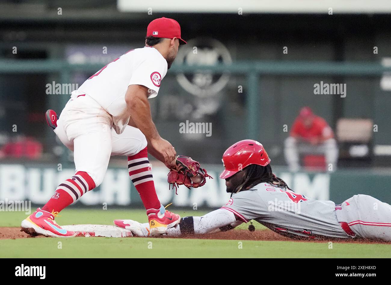 Elly de la cruz hi-res stock photography and images - Alamy