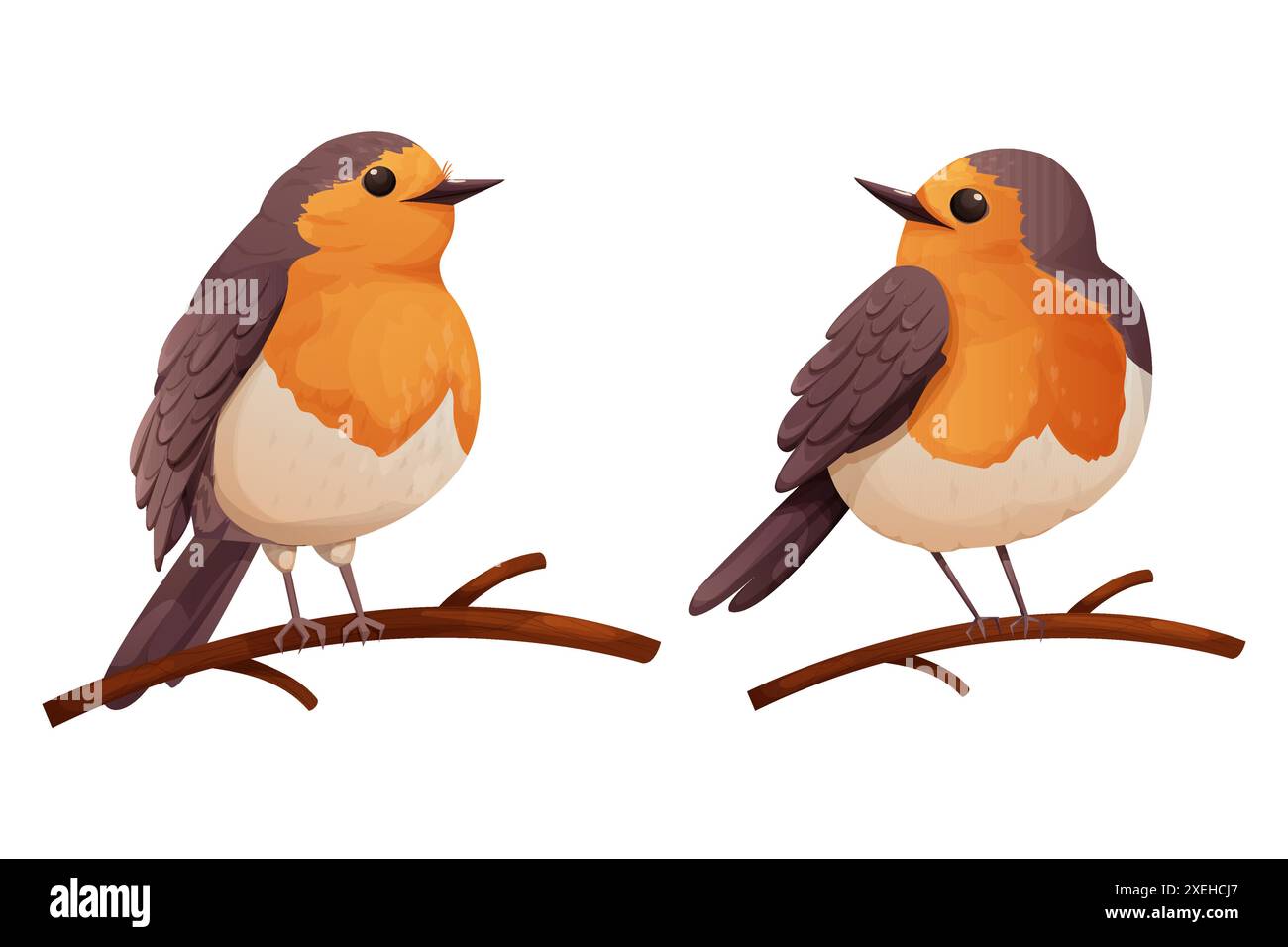 Set Robin bird cute little bird character on branch in cartoon style ...