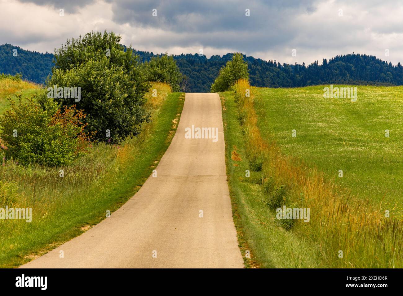 Panorama of the Tatra Mountains Velo Czorsztyn bicycle route around the lake tourist attractions of Czorsztyn Stock Photo