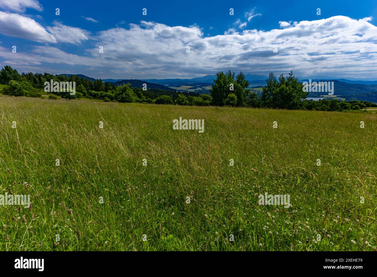 Panorama of the Tatra Mountains Velo Czorsztyn bicycle route around the lake tourist attractions of Czorsztyn Stock Photo