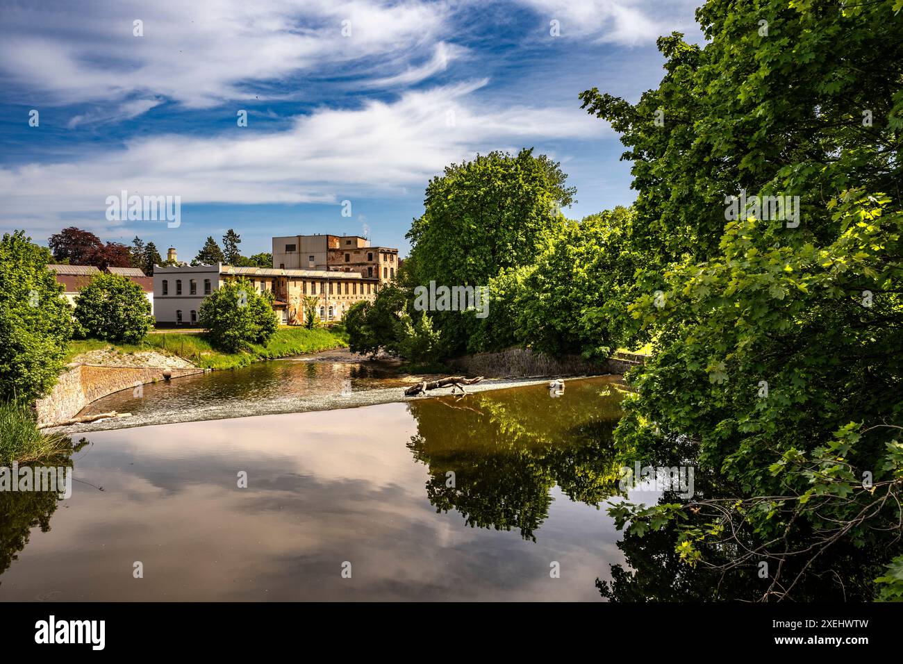 The beautiful Aupa near Ceska Skalice 1 Stock Photo - Alamy