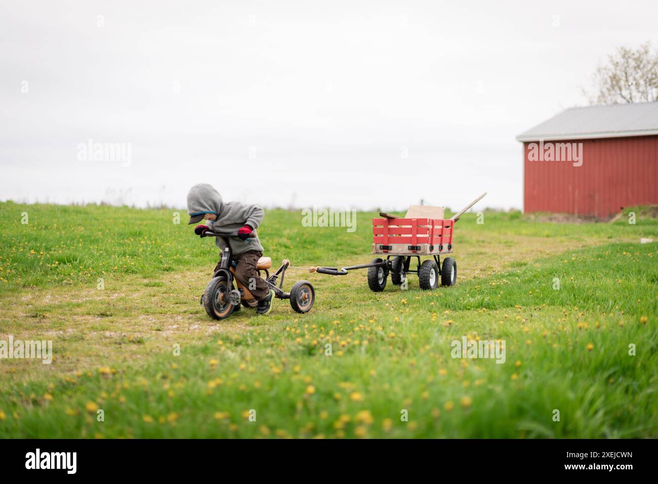 Boy riding tricycle with a red wagon attached, near a red barn Stock ...