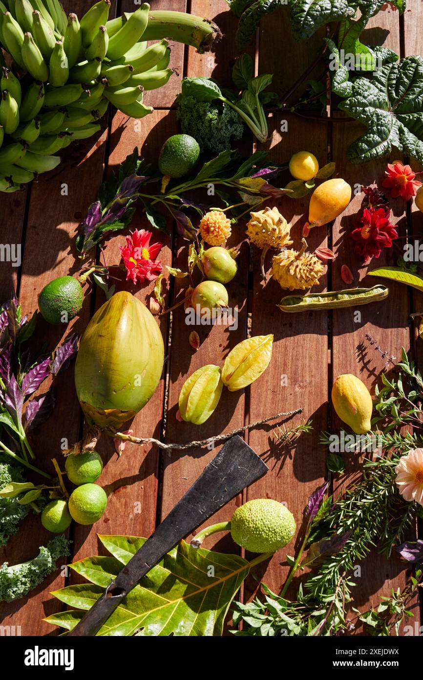 Small farm in hawaii hi-res stock photography and images - Alamy