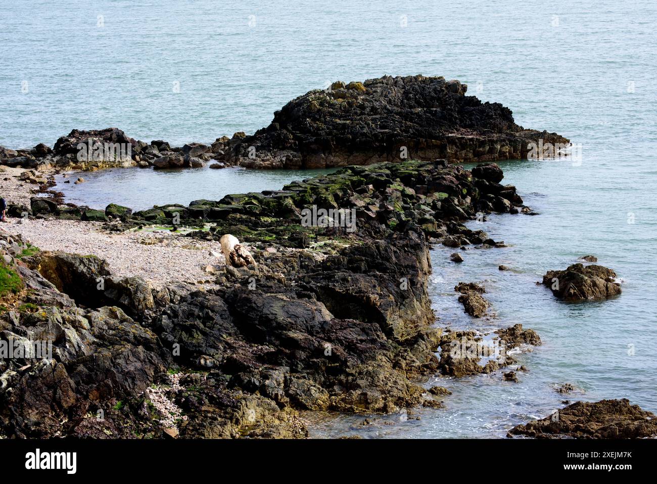 Rocky coastline in Howth peninsula, Dublin, Ireland Stock Photo