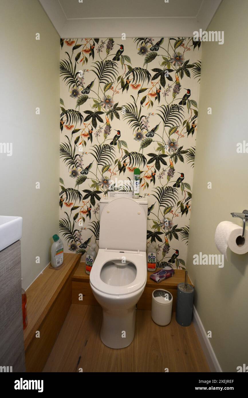 Toilet wallpaper green birds insects flower flowers plant plants ...