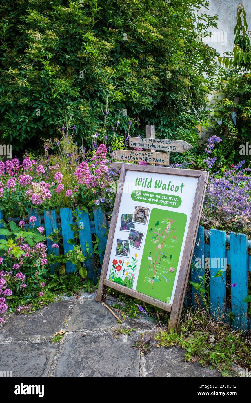 Urban ecological garden in Walcot Street, Bath, UK. Community garden. Environment. Colourful. Street garden. Stock Photo