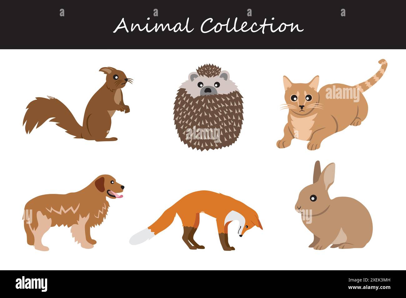 Animals collection. Flat style vector illustration Stock Vector Image ...