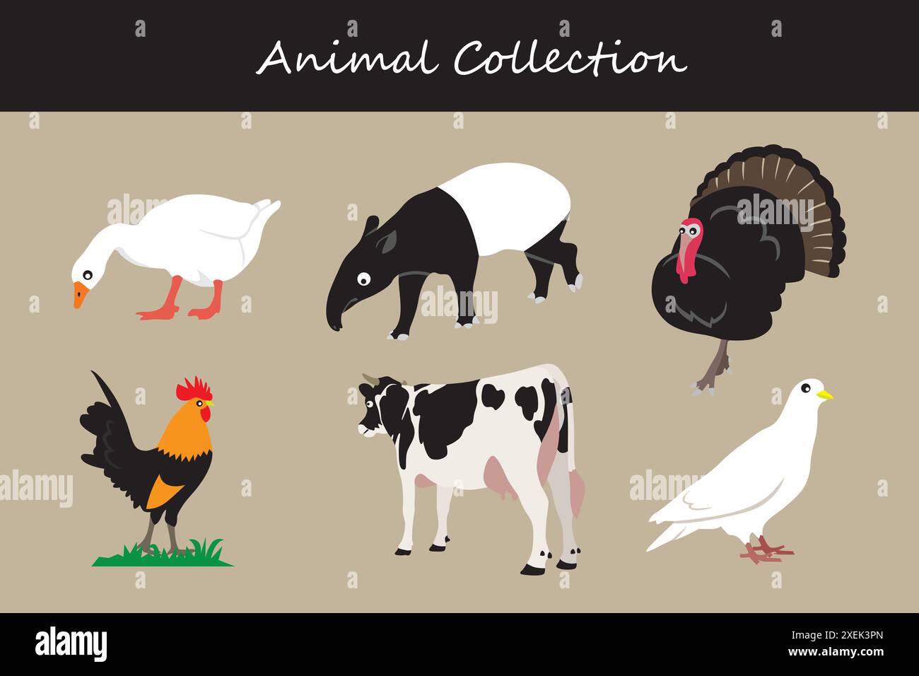 Animals collection. Flat style vector illustration Stock Vector Image ...