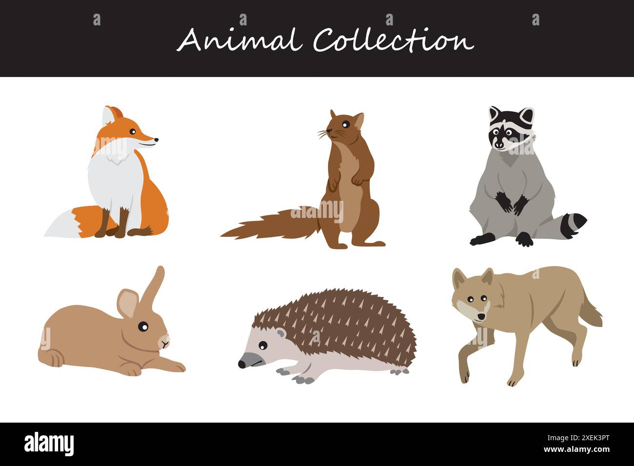 Animals collection. Flat style vector illustration Stock Vector Image ...