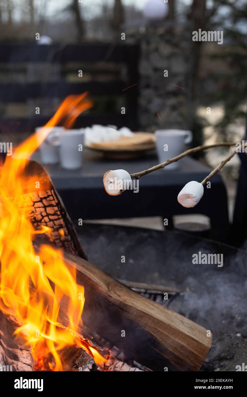 Two marshmallows on sticks are being roasted over a campfire. Stock Photo