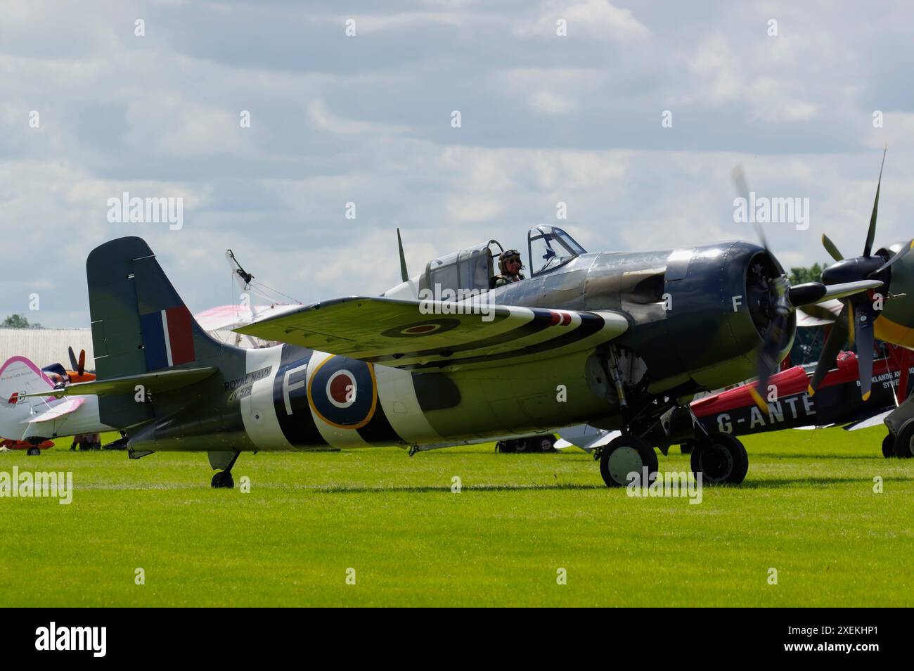 Grumman Martlet, (Wildcat) JV579, G-RUMW, Sywell Air Display, Northampton, England, United Kingdom. Stock Photo