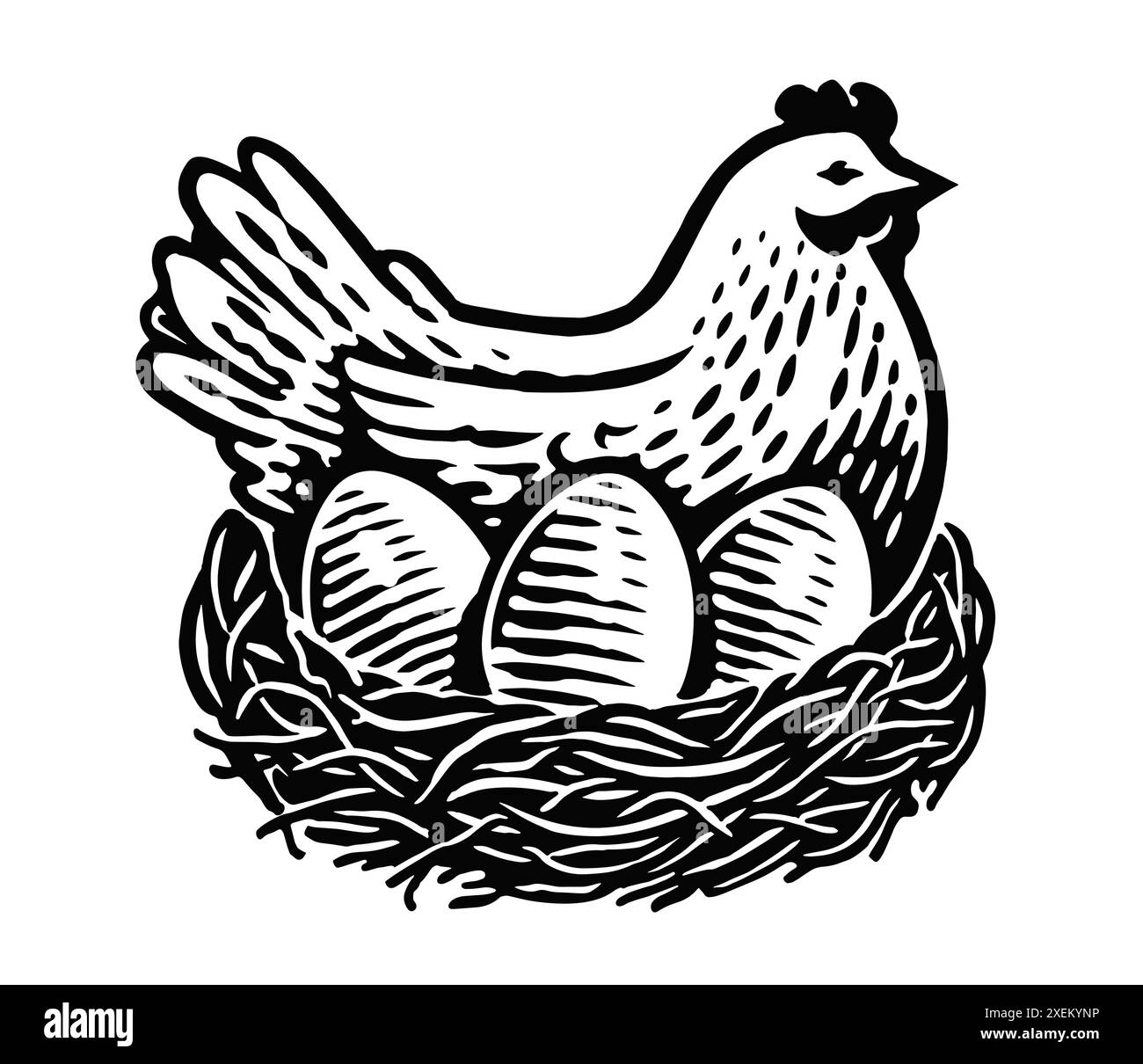 Hen laying eggs in nest. Farm domestic poultry. Chicken symbol or