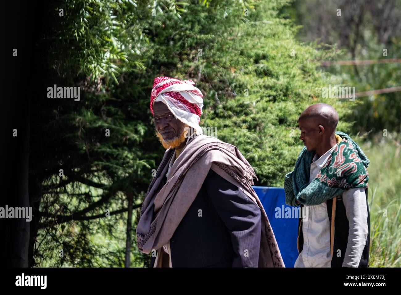 A Somali elder living in Ethiopia's Afar region, dressed in traditional attire with a red scarf around his head and an orange henna-dyed beard Stock Photo
