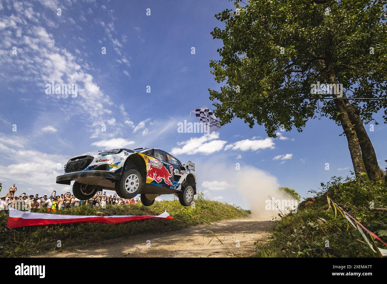 13 MUNSTER Gregoire, LOUKA Louis, Ford Puma Rally1, action during the
