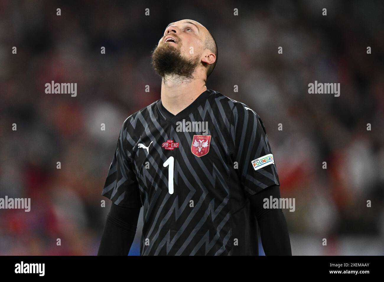 Serbia euro 2024 hi-res stock photography and images - Alamy