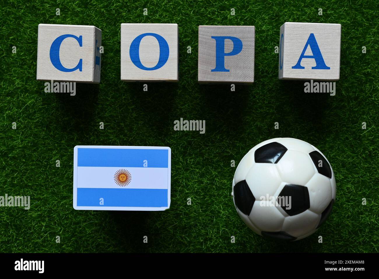 June 20, 2024, Miami, USA. The flag of the Argentina national team is a