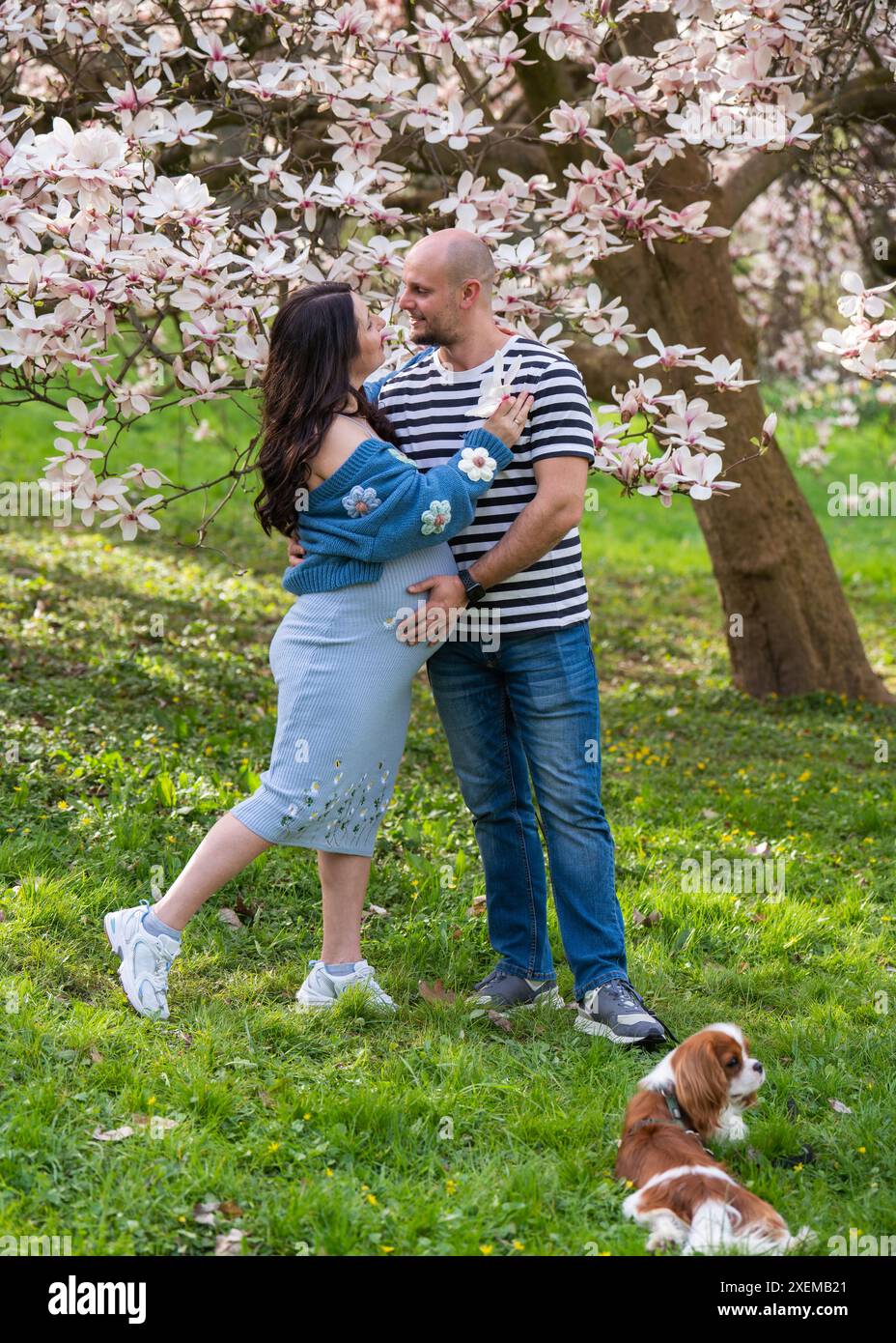 A man tenderly hugs his pregnant wife. The woman is wearing a blue ...