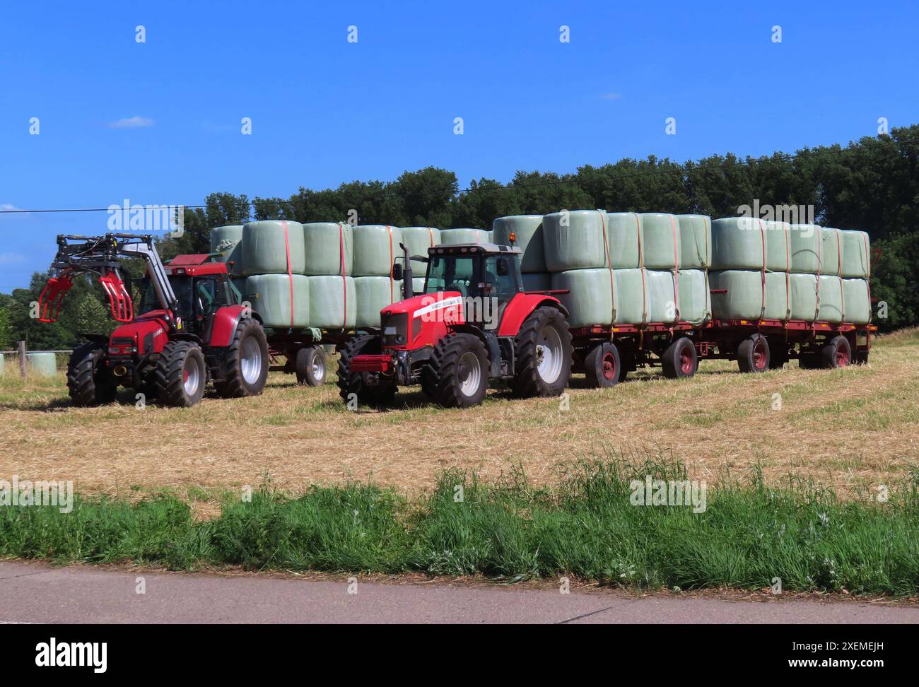 ...welch eine Heuernte von einer Wiese...Futter, Einstreu und Lagerware ...